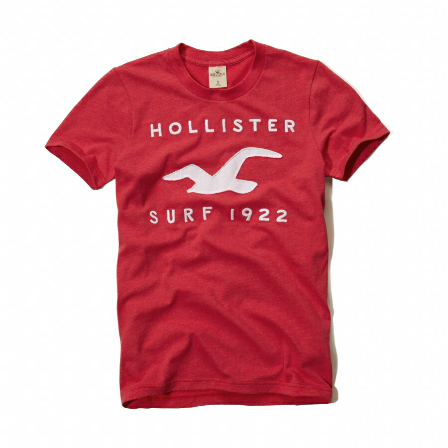 美國百分百【全新真品】Hollister Co. T恤 HCO 短袖 T-shirt 海鷗 桃紅 文字 刺繡 Logo 男 M L XL
