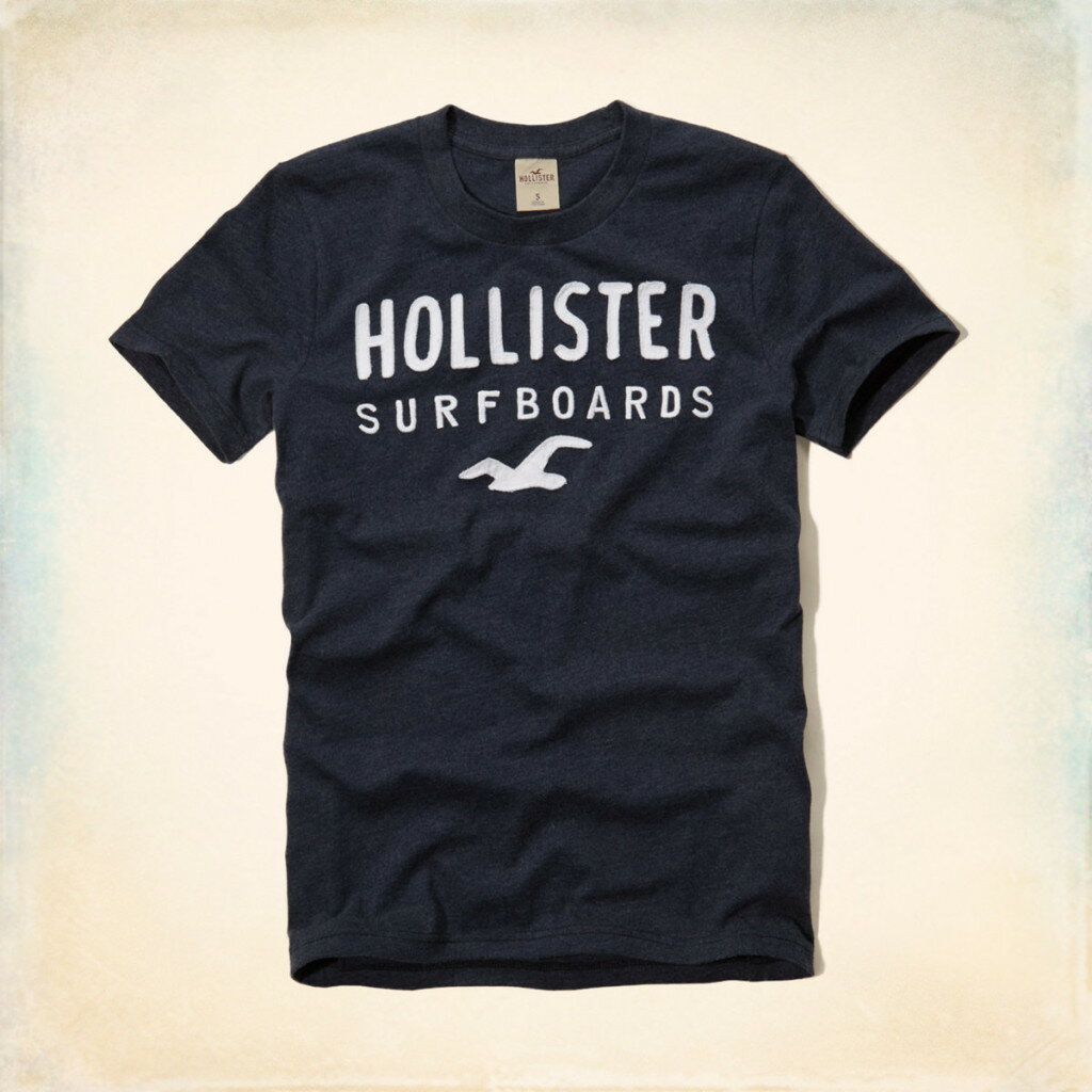 美國百分百【Hollister Co.】T恤 HCO 短袖 T-shirt 海鷗 深藍 文字 刺繡 貼布 E754