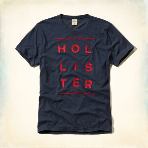 美國百分百【Hollister Co.】T恤 HCO 短袖 T-shirt 海鷗 深藍 logo 文字 E965