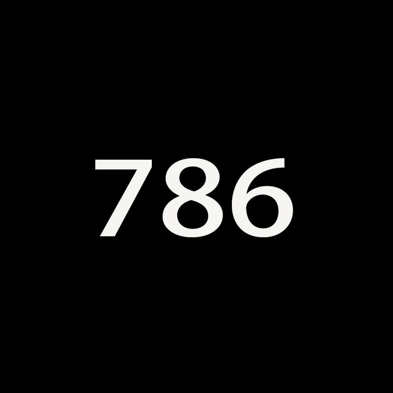 2024德迅鞋子