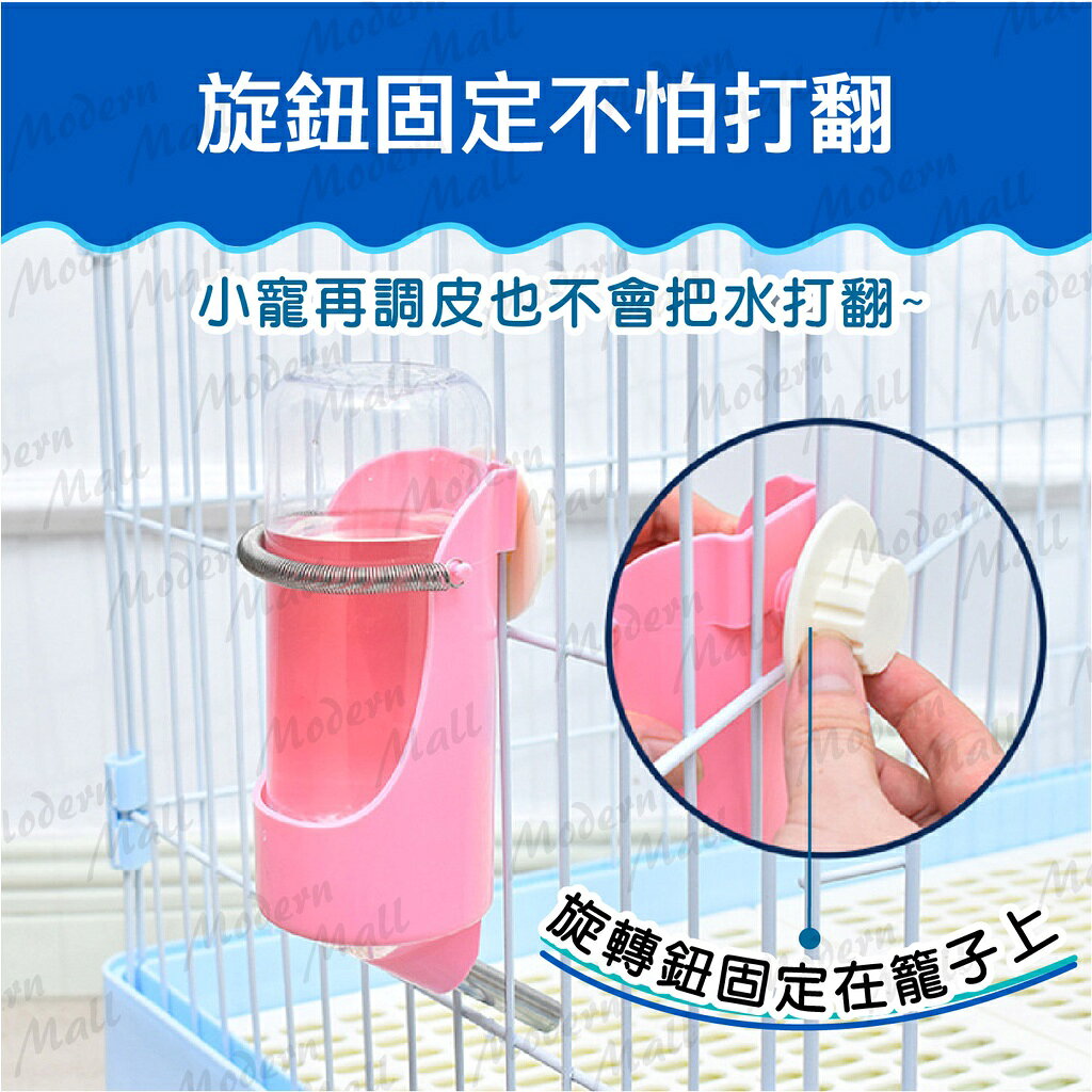 寵物滾珠飲水瓶【小寵專用💎免運出貨】寵物飲水器 寵物喝水器 自動飲水器 寵物給水器 掛式飲水器 3