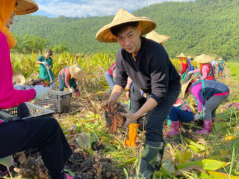 【淺草堂】有機紅薑黃粉 100g 6 【淺草堂】有機紅薑黃粉 100g 6