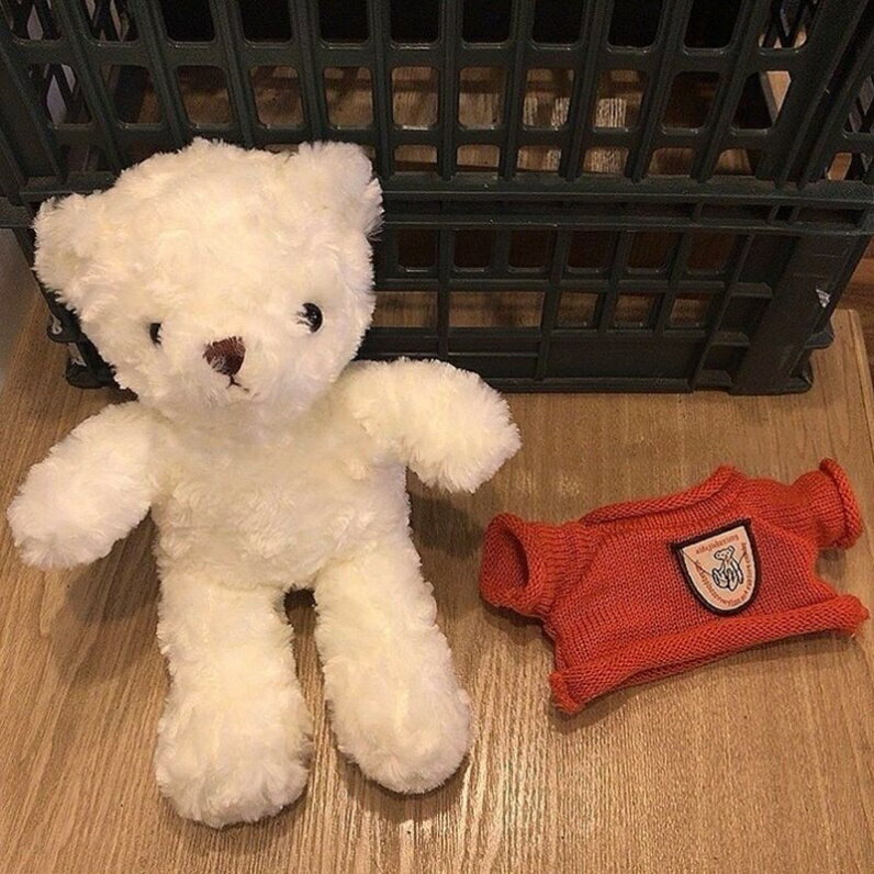 泰迪熊公仔熊貓毛絨玩具可愛大熊韓國ins布娃娃女孩特價抱抱熊玩