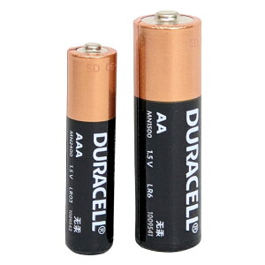 [4玉山網] DURACELL 金頂 1.5V 電池 3號 AA LR6 / 4號 AAA LR03 鹼性電池 2023年後製造_AA2
