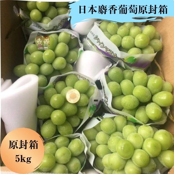 日本空運香印麝香葡萄(原封箱5kg+-10% )｜緁迪水果JDFruit 高級水果店