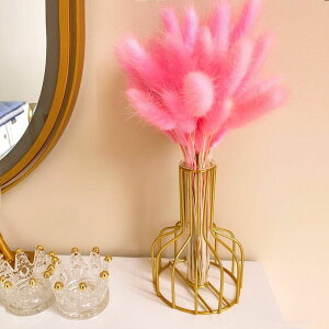 北歐粉色羽毛裝飾兔尾草干花diy材料家居客廳擺設ins風羽毛裝飾擺