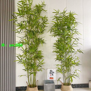 仿真竹子室內裝飾假竹子隔斷屏風擋墻造景室外裝飾竹盆栽加密綠植