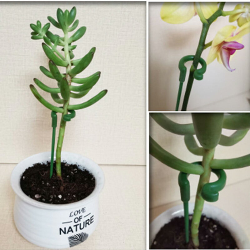 【珍愛頌】N423 花盆支架 花劍支架 蘭花支架 花卉造型 蝴蝶蘭支架 多肉花架 攀爬支柱 支撐桿 爬藤架 防倒 護葉 3