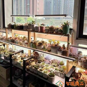 植物補光燈 家用LED全光譜植物生長補光燈管多肉室內植物花卉育苗仿太陽日照 快速出貨