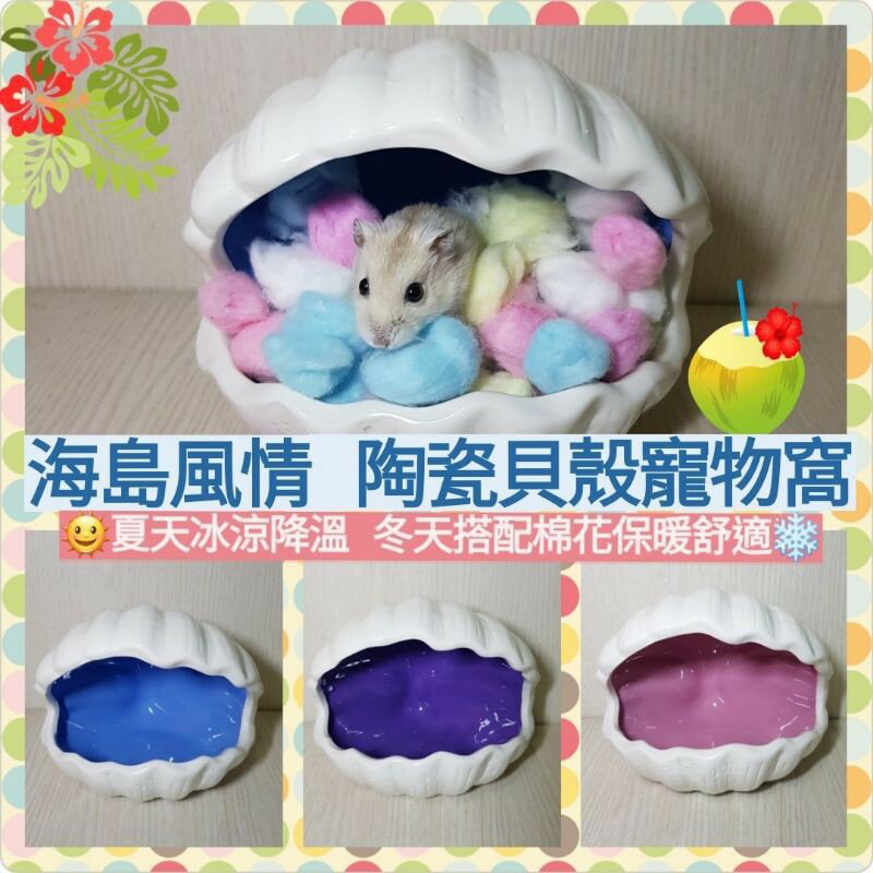 【鼠勾乙】倉鼠貝殼陶瓷屋 貝殼陶瓷窩 寵物窩 倉鼠小窩 倉鼠 蜜袋鼯 刺蝟 等小寵物