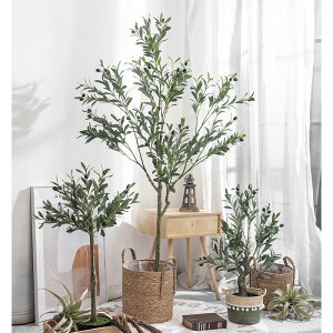 北歐ins仿真綠植盆栽橄欖樹落地大型假植物擺件室內家居網紅裝飾