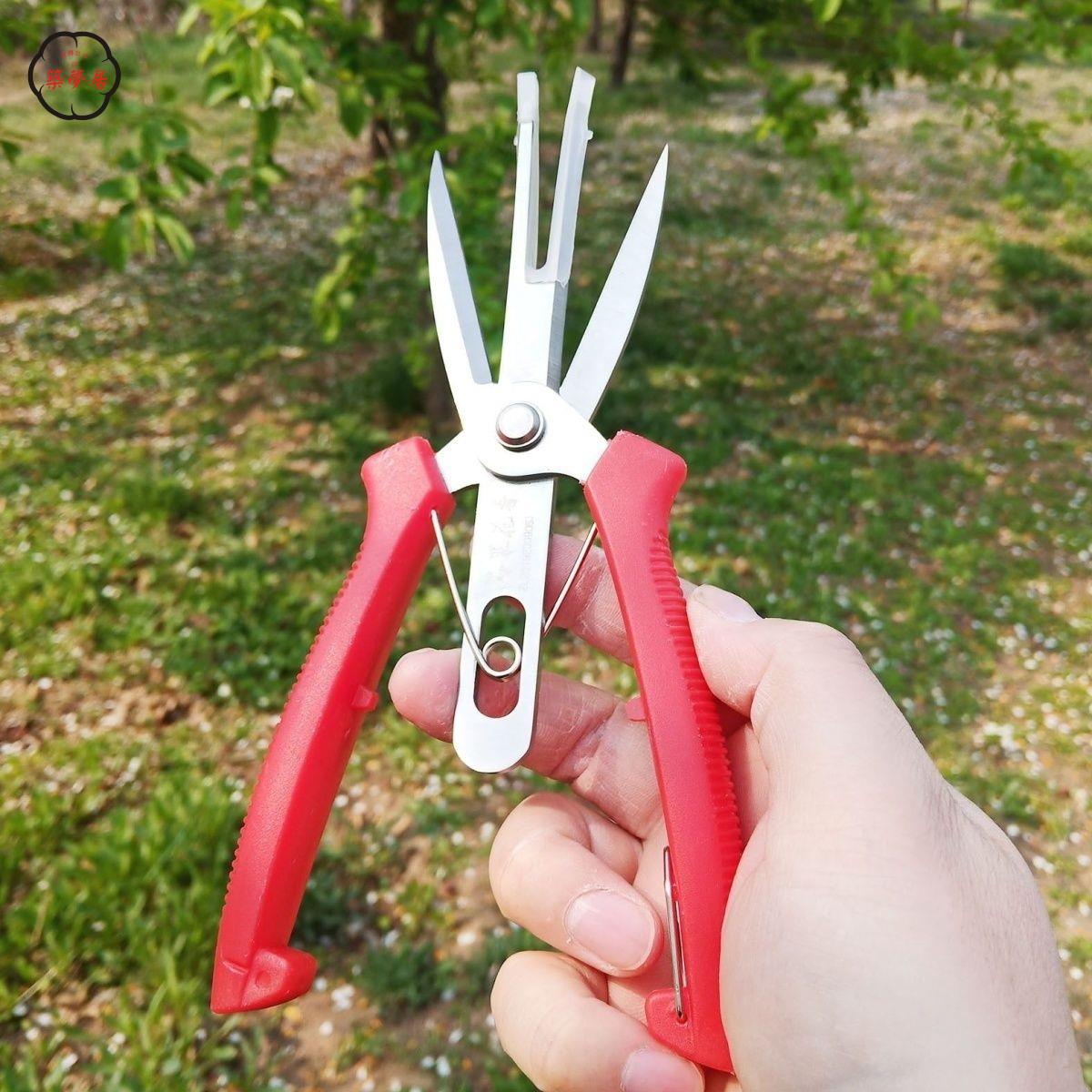 工廠直銷 特惠/免運 果樹剪 園林修剪刀 剪果神器 新款不銹鋼疏花剪刀雙口梨樹蘋果樹果農神器疏果幫手多功能神器特惠/全館折扣 售後保障 免運 店長推薦m5422