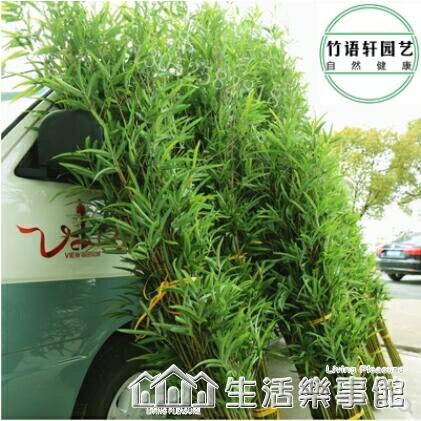 模擬竹子室內裝飾隔斷屏風遮擋牆造景景觀加密禪意假竹子盆栽植物NMS 【林之舍】