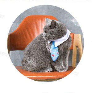 貓領帶貓圍巾貓造型衣物帥氣貓聯誼約會帥貓寵物配飾-白/粉/黃/藍【AAA4529】