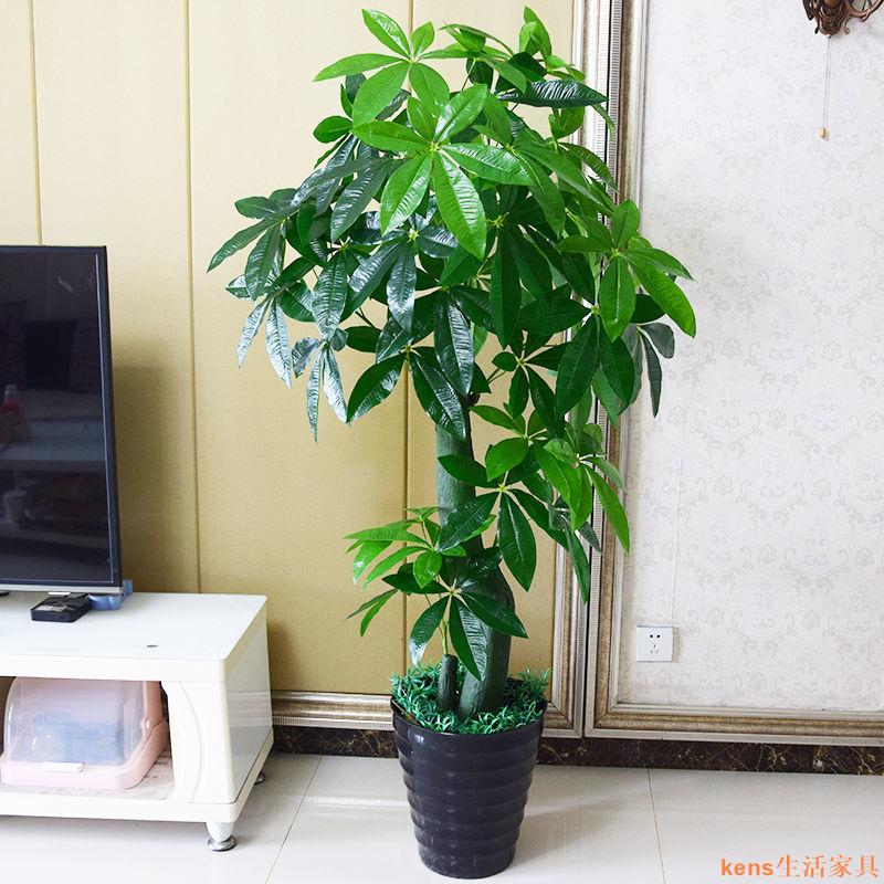 免運 仿真植物 模擬樹 模擬綠植 模擬擺飾 假樹 模擬發財樹盆栽綠植室內裝飾客廳假樹擺設落地花假植物金錢樹盆景特惠/開立發票K0929