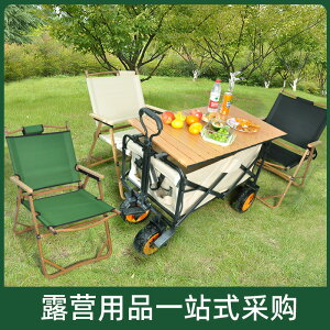 折疊椅戶外椅便捷野餐野凳木紋鋁合金沙灘椅