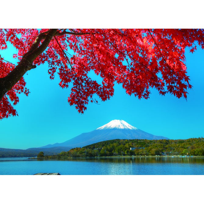 P2-25-025 520片拼圖 富士山(山中湖) 楓樹 (台灣製)