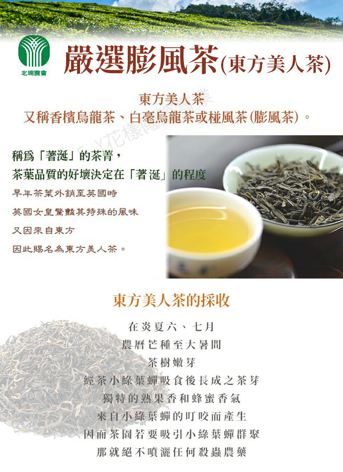 北埔農會】嚴選膨風茶-東方美人茶-150g-罐(1罐組) | 農情市集直營店