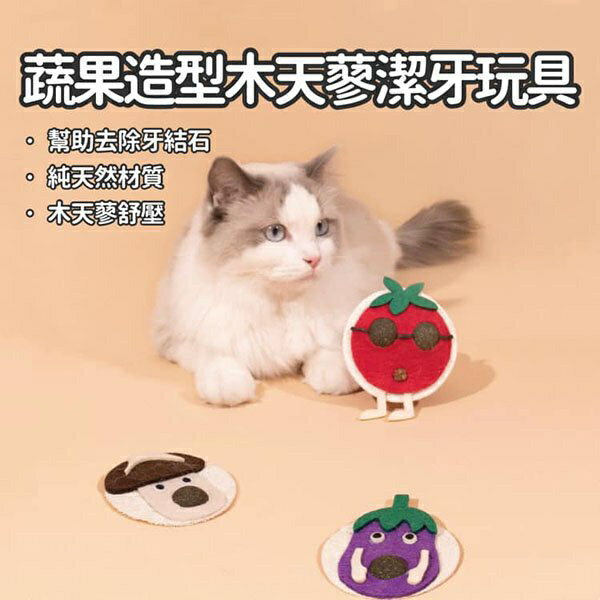 『台灣x現貨秒出』蔬果造型木天蓼絲瓜潔牙寵物玩具