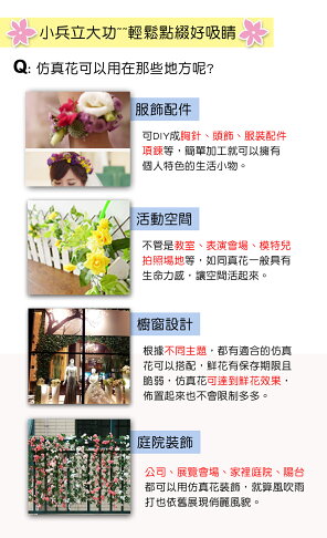 大p星點花 白 仿真花人造花園藝家飾婚禮小物佈置裝飾幼兒園送禮配件髮飾活動佈置花束花園陽台 X射線 Y6180 X射線精緻禮品直營店 大p星點花 白 仿真花人造花園藝家飾婚禮小物佈置裝飾幼兒園送禮配件髮飾活動佈置花束花園陽台 X射線 Y6180 X射線精緻禮品直營店