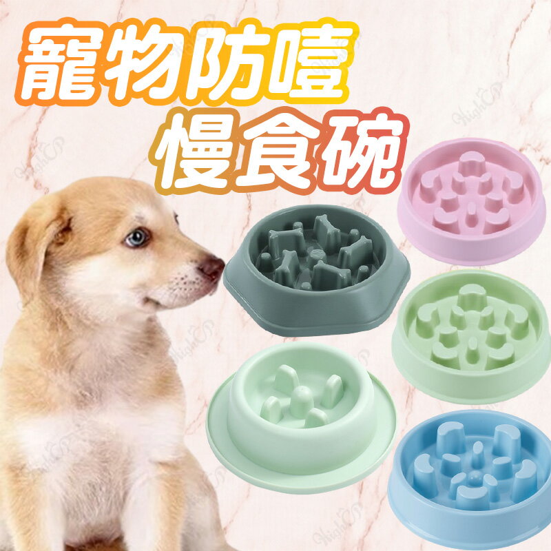 糖果色慢食碗 寵物碗 寵物飼料碗 寵物餵食器 狗碗 狗狗餵食碗 寵物慢食碗 慢食碗【524015】