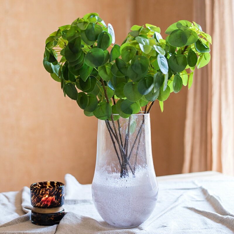 掬涵 鏡面草仿真花藝綠植物 裝飾擺件INS網紅北歐清新風格禪意