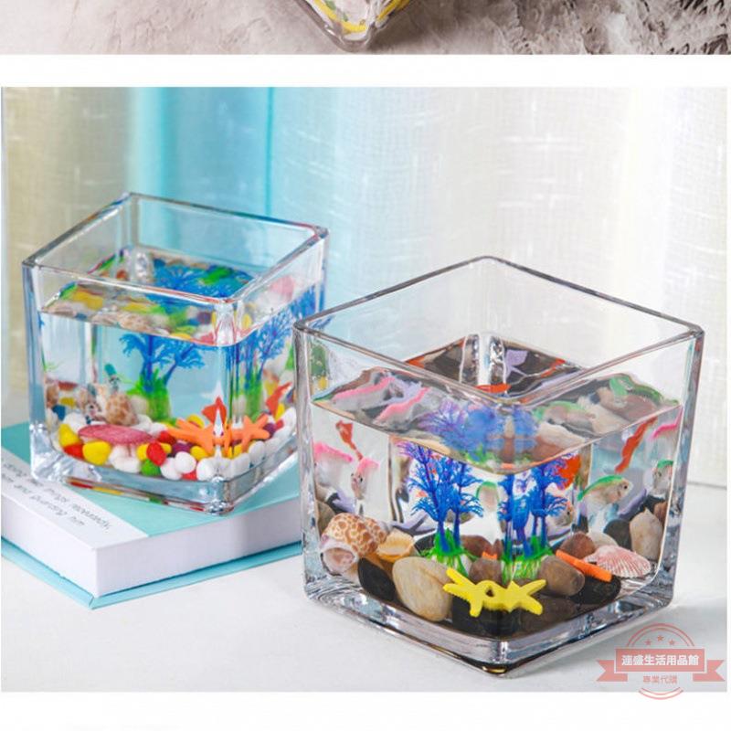 桌面小魚缸水族箱客廳小型創意家用水晶玻璃生態迷你方形廠家批發