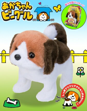 《日本 IWAYA》寵物 甜甜屋米格魯 東喬精品百貨