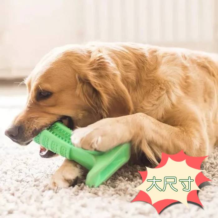 [Hare.D] 大型犬-狗狗磨牙棒 寵物神器 刷牙 護齒 潔牙棒 橡膠 寵物玩具 耐咬 大型犬 中型犬 小型犬
