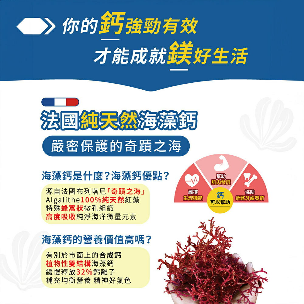 ＵＴＯ｜中化健康360 海藻鈣鎂錠(60錠/盒) 台灣公司貨/開立發票 3