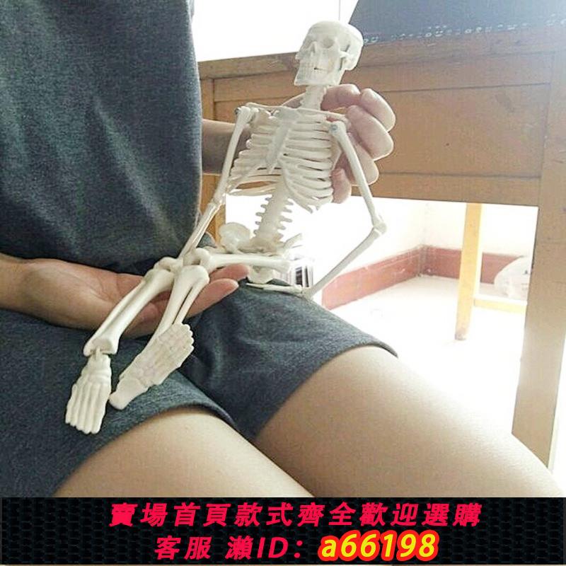 【臺灣公司 可開發票】人體骨骼模型45 85CM骨架模型 人體脊柱模型脊椎模型骨骼骷髏