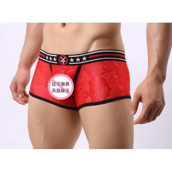 男士內褲 網紗提花 男士平口內褲 四角褲 性感情趣 半透明 透氣四角褲 低腰內褲 8