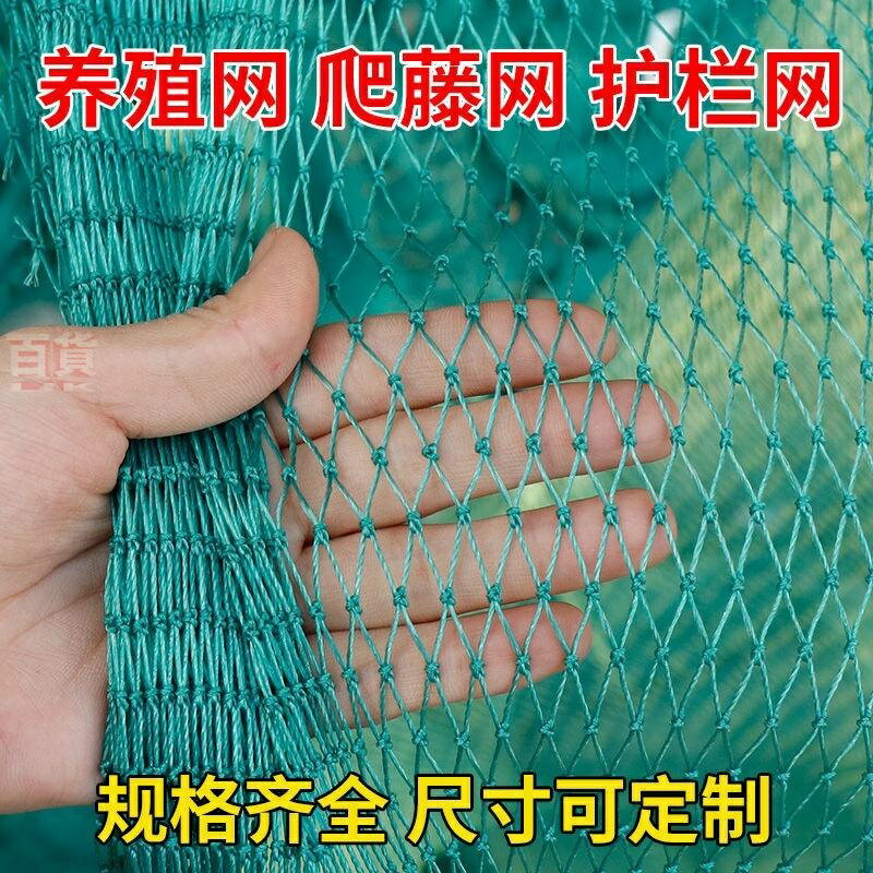 12股線耐用防鳥網 3公分網眼養雞網 家禽養殖網 攔雞鴨網 防鳥網 爬藤網 菜園圍網 果園網 護欄網