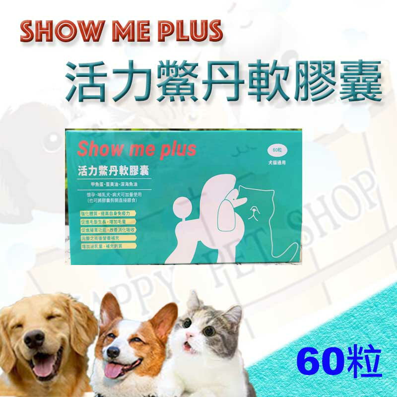 [現貨] Show me plus 活力鱉丹軟膠囊～60粒 鱉丹.爆毛丹 維持抵抗力、體質、鈣質