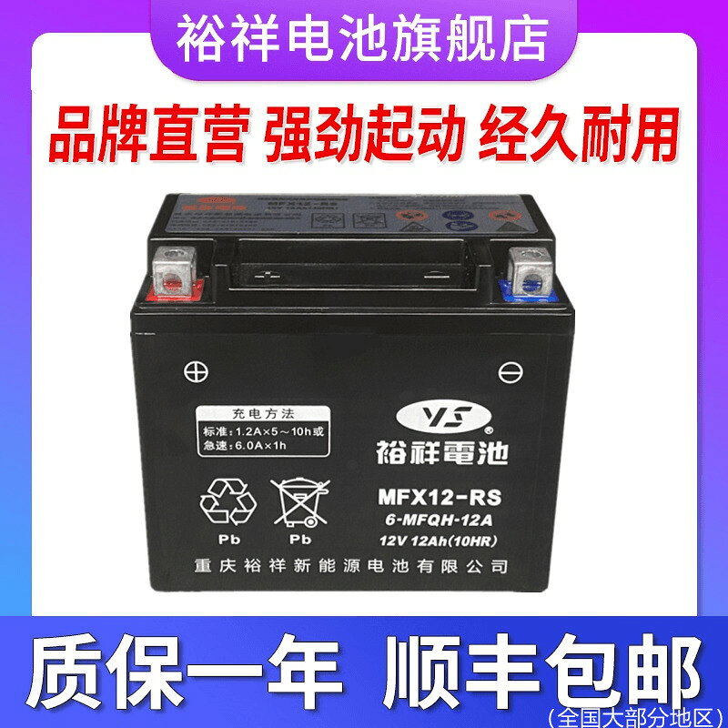 {公司貨 可打統編}裕祥電池摩托車幹電瓶YTX12-BS春風650NK400光陽250賽艇30012V12A
