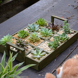 美式12格子多肉花盆植物拼盤組合木質花盆長方形花架木托盤收納盒1入