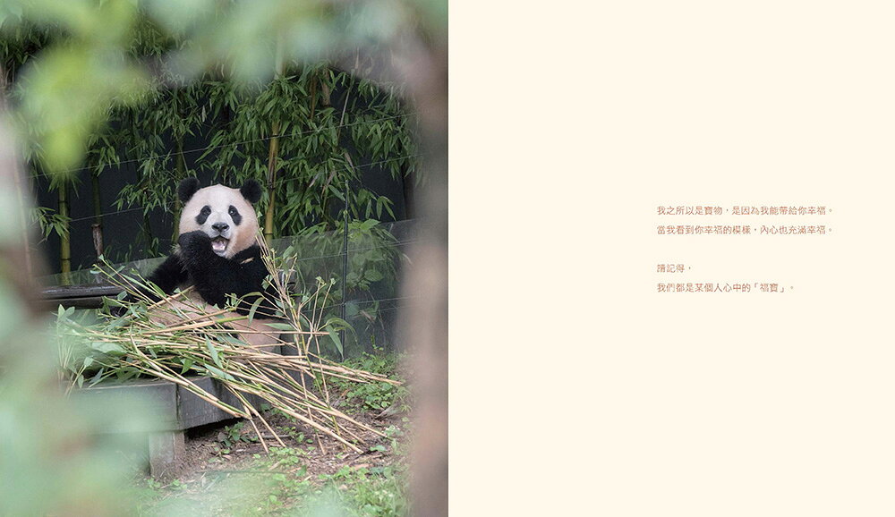 全知福寶視角：小爺爺宋寶眼中的福寶幸福肥日常（首刷限量贈：拍 3