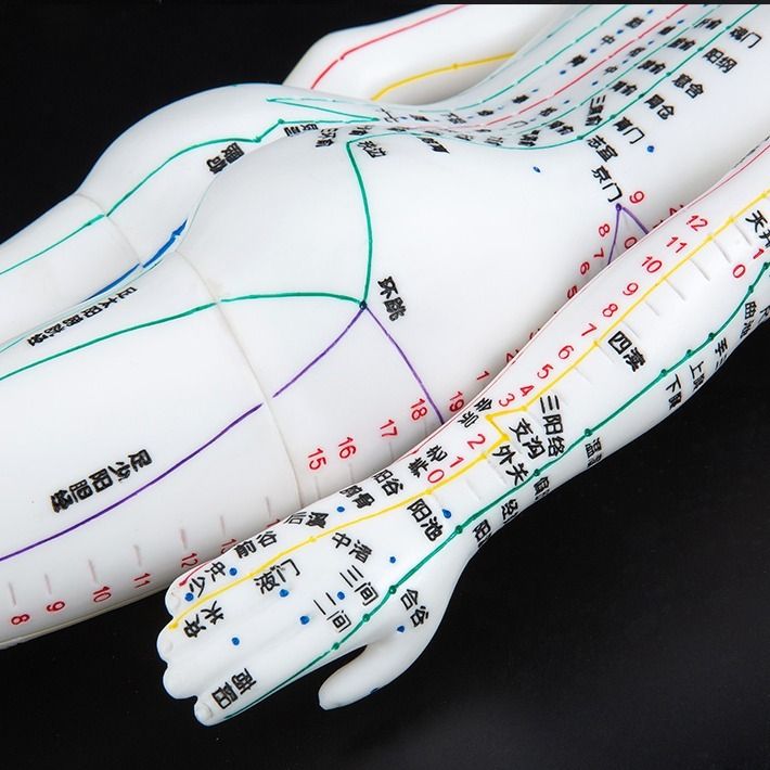 【最低價】【公司貨】人體模型中醫針灸穴位圖銅人男女全身十二經絡小皮人針灸穴位模型 4