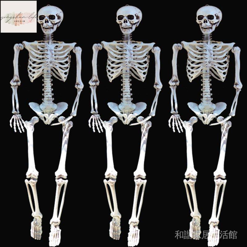萬聖節恐怖道具鬼屋密室逃脫機關仿人體骼模型骨頭架盜墓骷髏骨架 品質保證 d32H