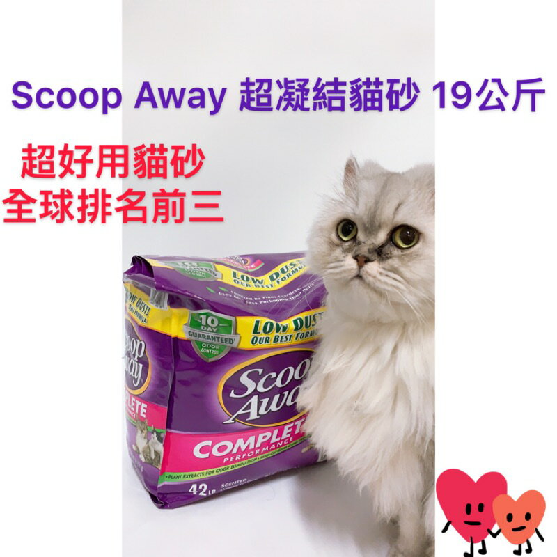 一次限購一包 好市多 Scoop Away 超凝結貓砂 19公斤 超強凝結力 貓砂