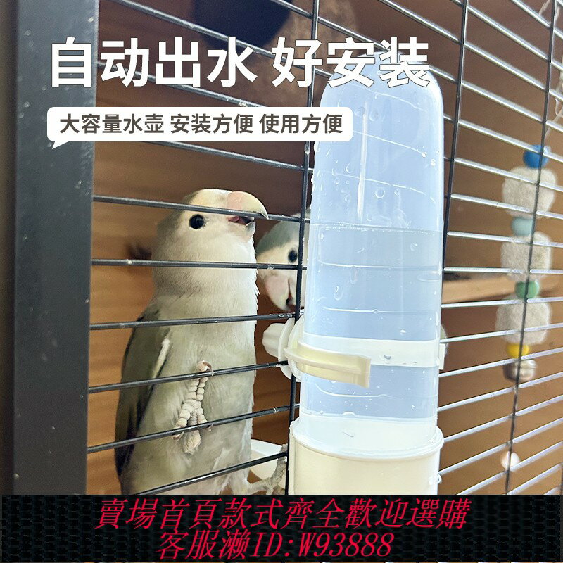 {臺灣公司貨 可打統編}鸚鵡小鳥用鳥籠懸掛食盒自動餵食器飲水器喝水器喂水器鳥食罐水壺