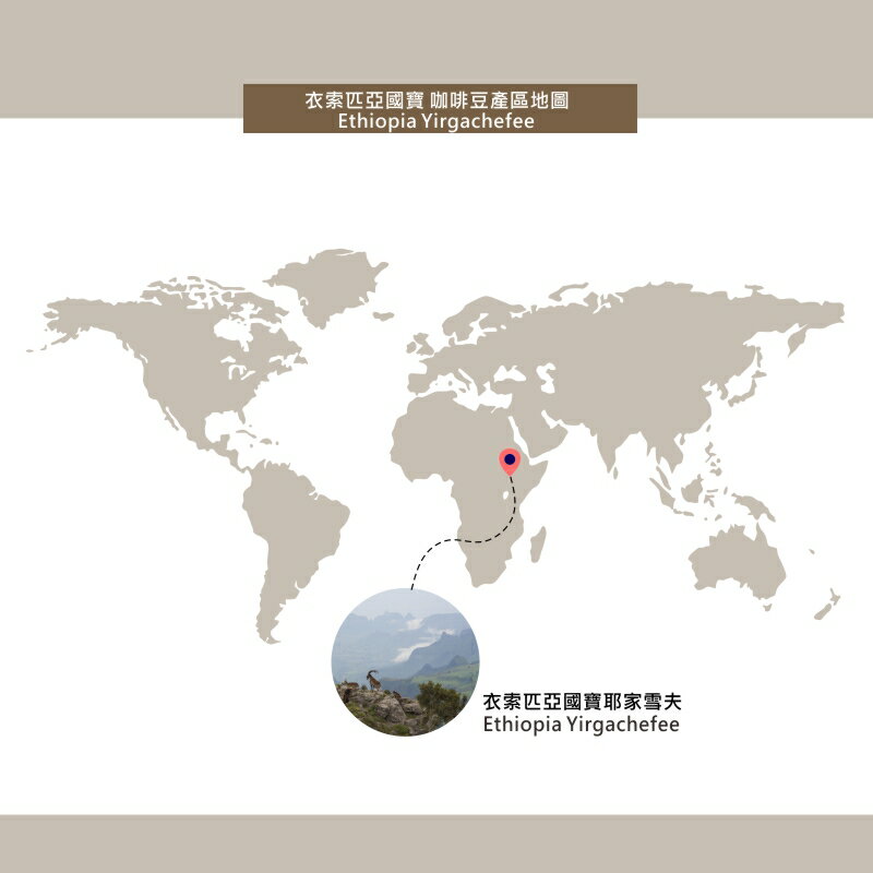 伊索匹亞 耶加雪夫濾掛咖啡 Ethiopia Yirgachefee | DALLYN世界嚴選莊園★滿299元超取免運 , 滿1500元店家宅配免運★ 4