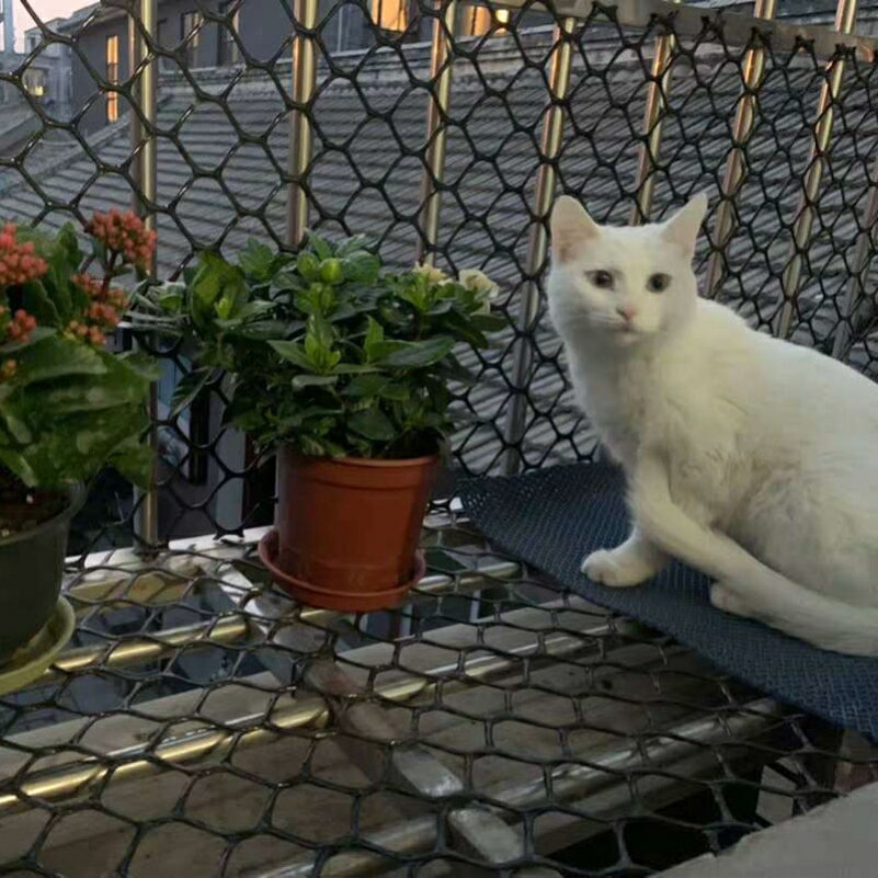 陽臺安全加厚防護防墜落網家用大孔塑料網格兒童護網封窗養貓網格 2