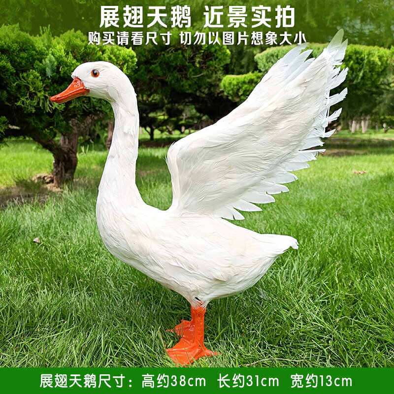 仿真鵝模型動物標本大白鵝室內園林裝飾品鵝擺件攝影拍照道具鴨子 5