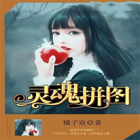 【有聲書】灵魂拼图 0