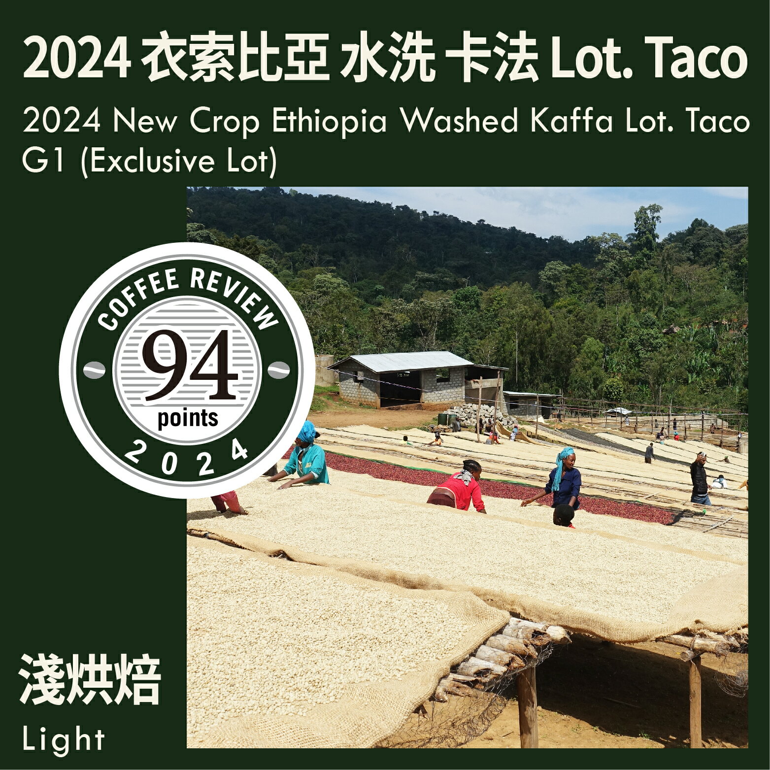 KaKaLove 咖啡-CR94-2024新產季 衣索比亞 水洗 卡法 Lot. Taco G1 (自選批次) 0.5磅