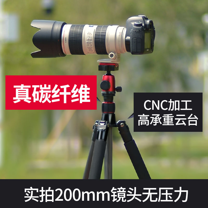 臺灣公司貨 免運 曼比利碳纖維三角架支架三腳架拍照相機單反便攜佳能攝影戶外拍攝 快速發貨