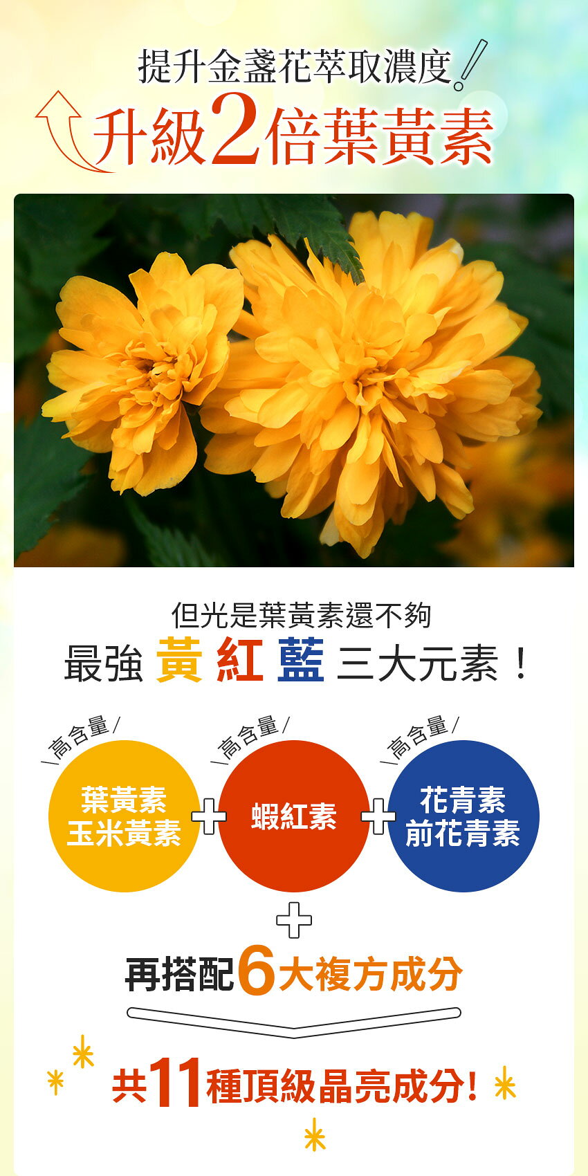 【香港配送】 Veggie Care 好素晰晶亮軟膠囊 (11種全晶亮All in one獨家純素配方) 1