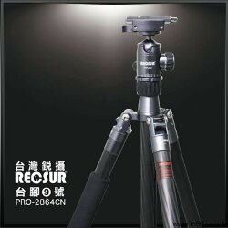 【中壢NOVA-水世界】RECSUR 銳攝 台腳9號 PRO-2864CN 碳纖維三腳架 可拆單腳架 公司貨【送吹球】