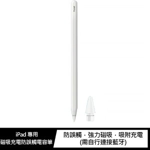 AOYi iPad 專用磁吸充電防誤觸電容筆【APP下單最高22%點數回饋】